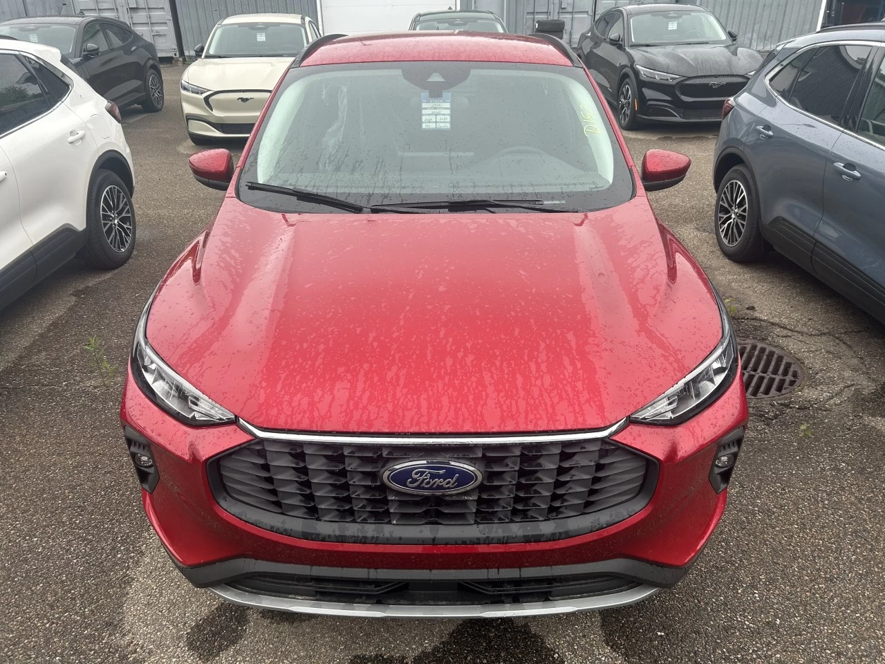 2025 Ford Escape PHEV https://www.st-norbertford.com/resize/b990ff35b810a3abc0cc817b2ca24889-1