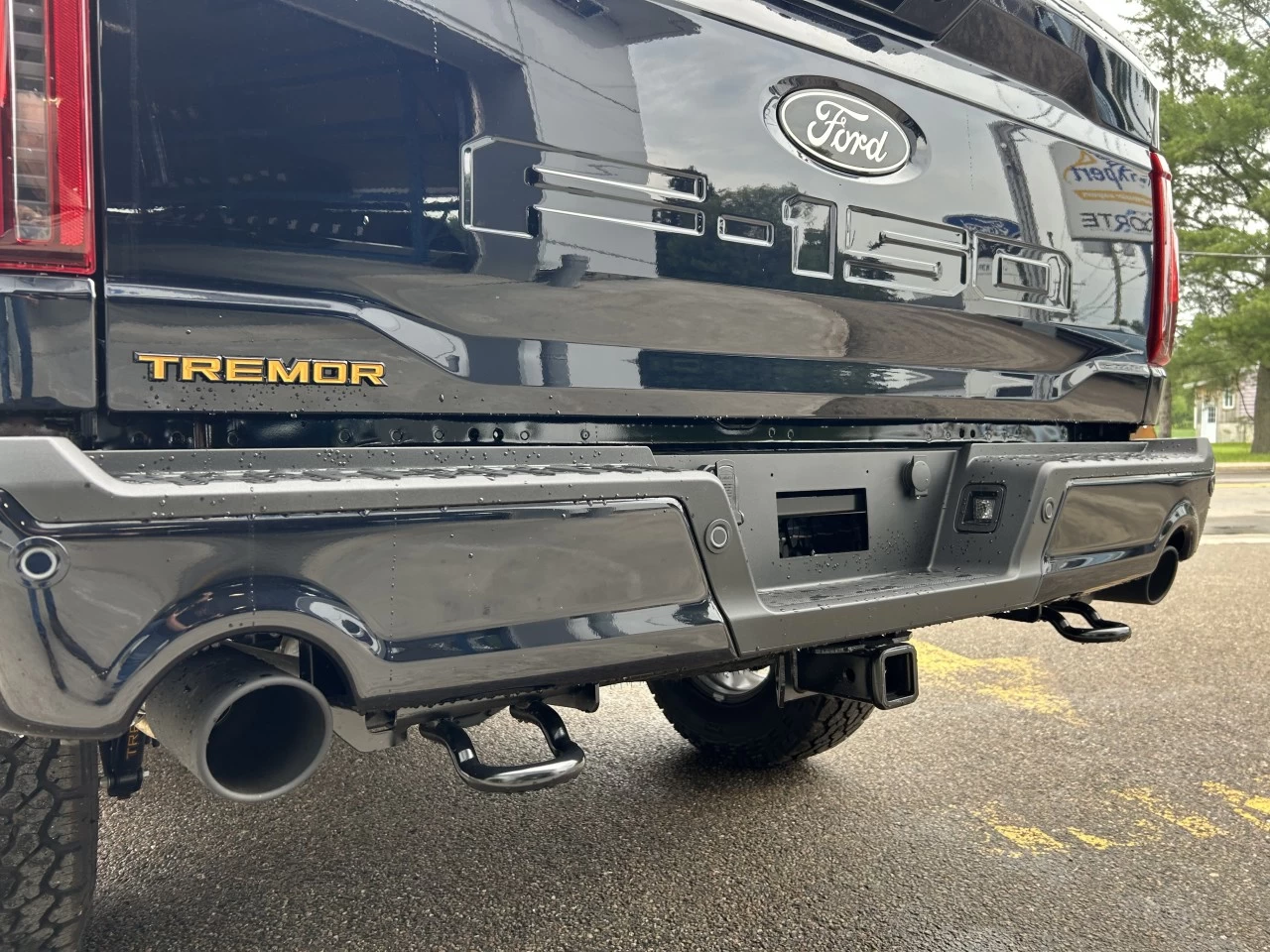 2025 Ford F-150 Tremor Main Image