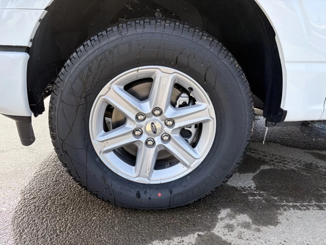 Ford F-150 XLT 300A 2026