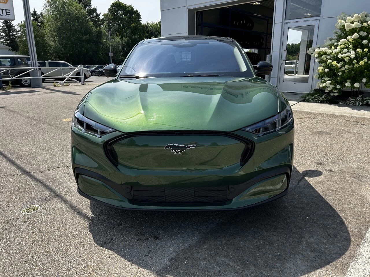 2025 Ford Mustang Mach-E PREMIUM https://www.st-norbertford.com/resize/b990ff35b810a3abc0cc817b2ca24889-1