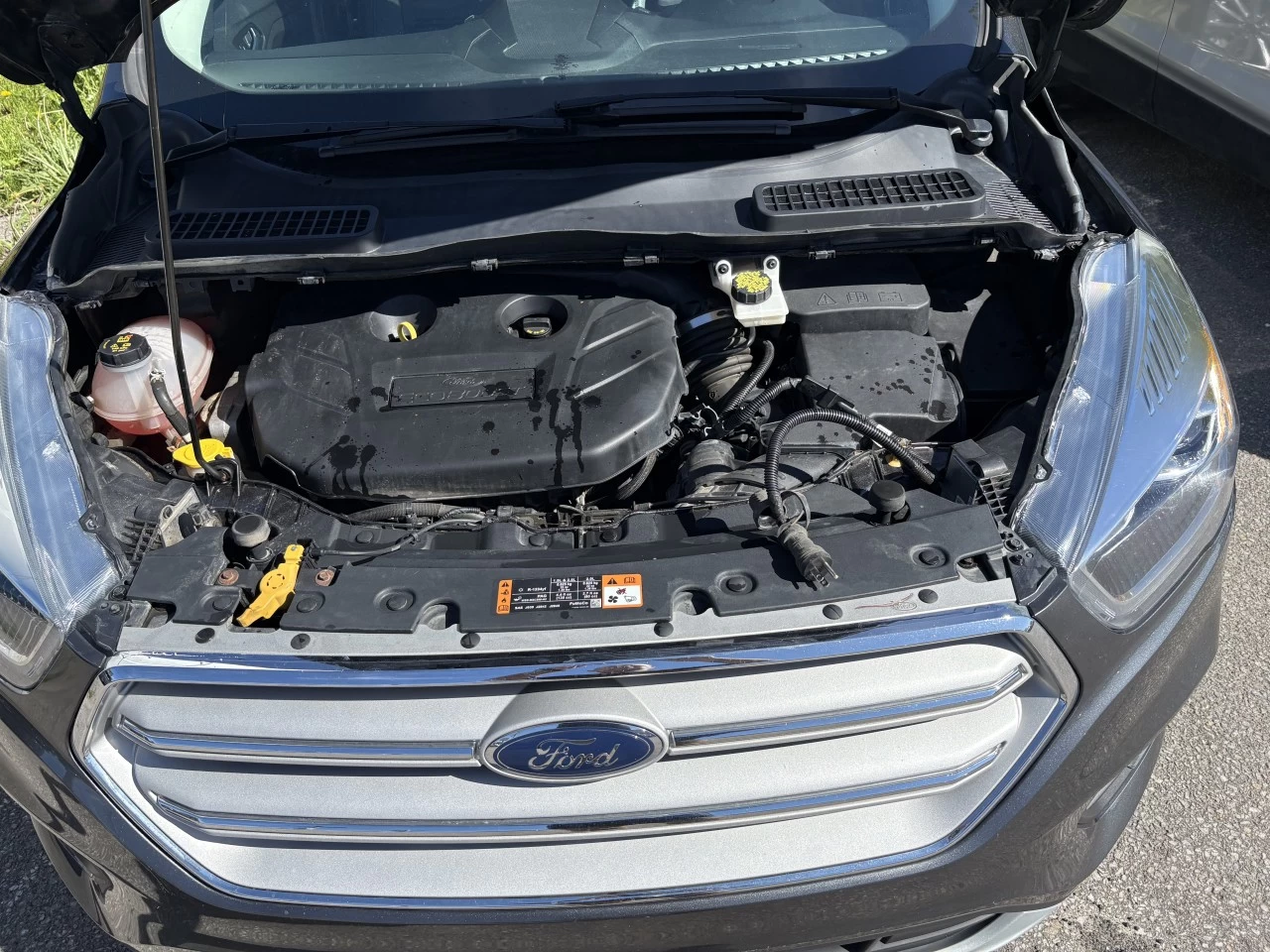 2019 Ford Escape SEL Image principale