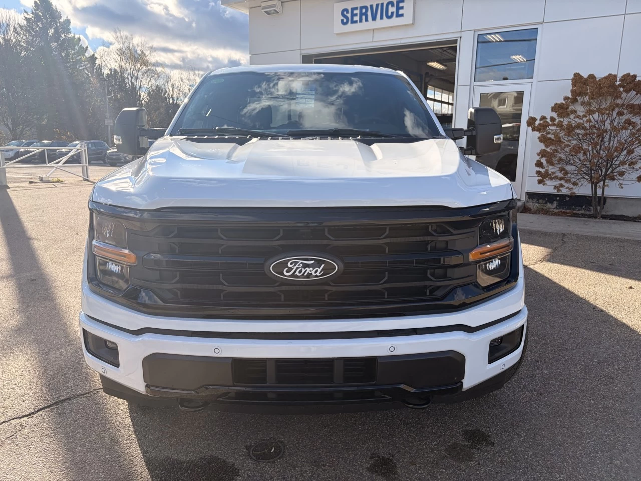 2025 Ford F-150 XLT Main Image