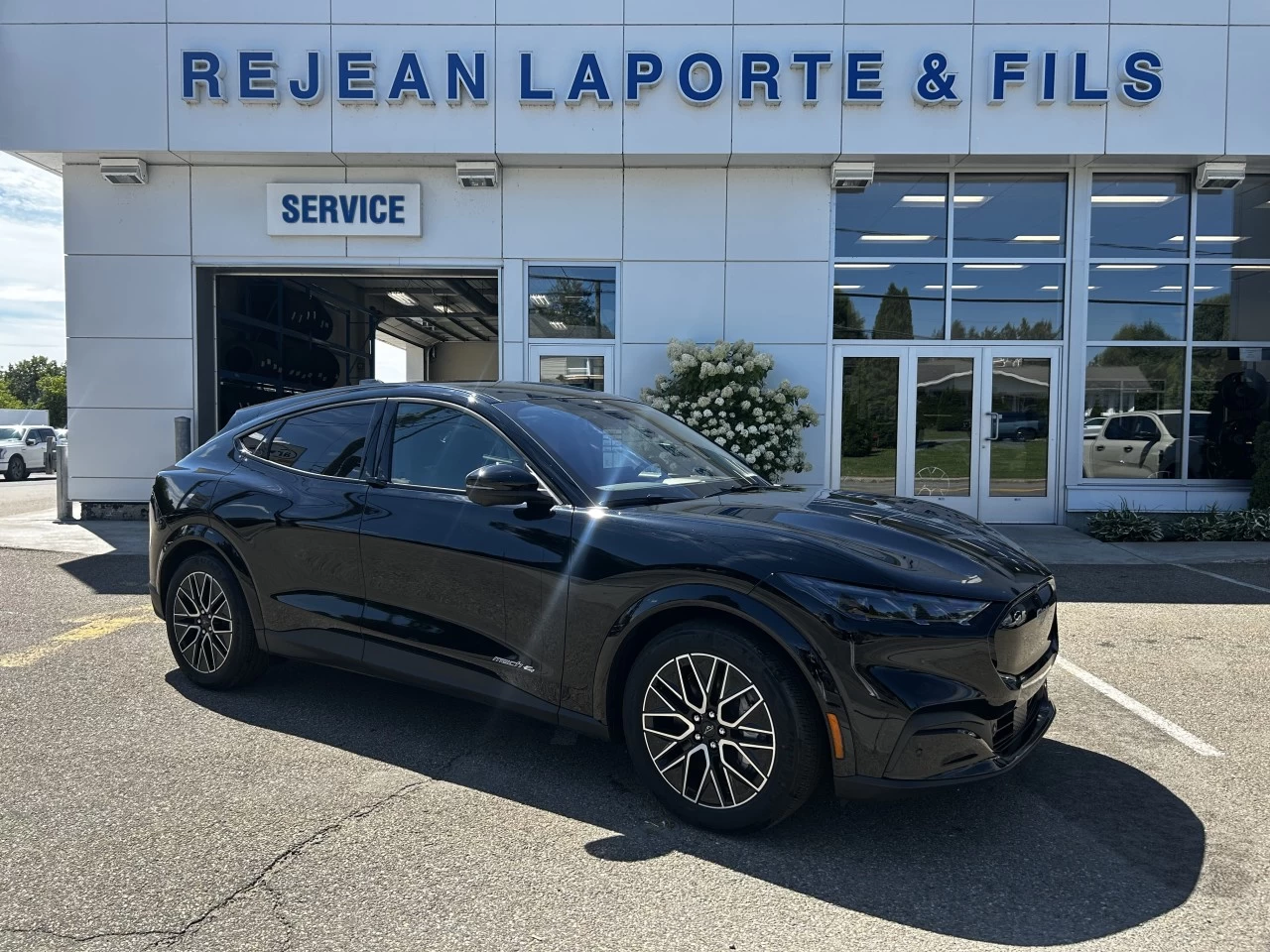 2025 Ford Mustang Mach-E PREMIUM AWD https://www.st-norbertford.com/resize/b990ff35b810a3abc0cc817b2ca24889-1