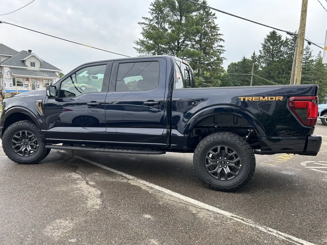 2025 Ford F-150 Tremor Main Image