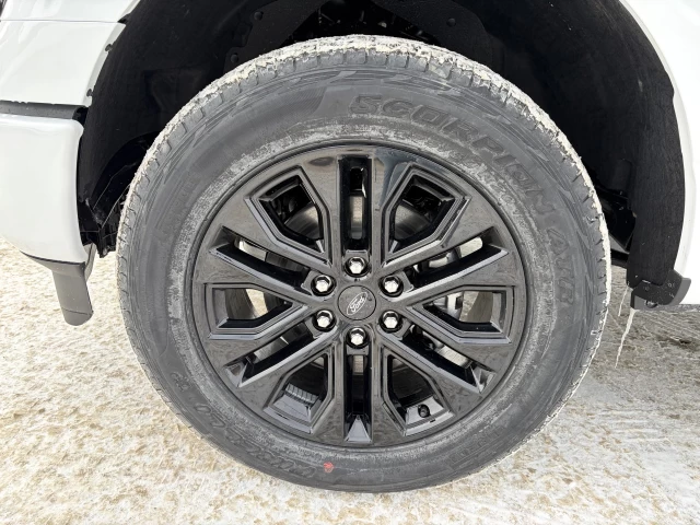 Ford F-150 XLT 303A 2026