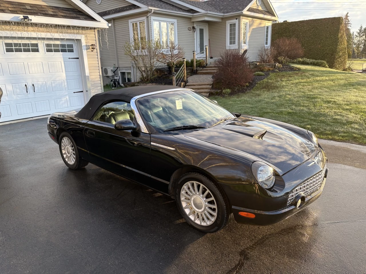 2005 Ford Thunderbird Cuir Main Image