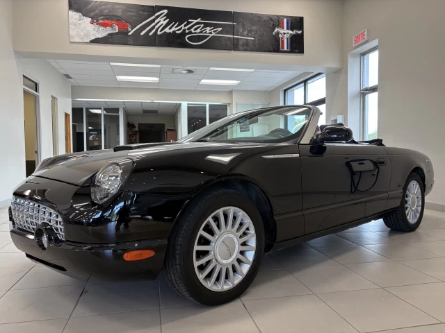 Ford Thunderbird Cuir 2005