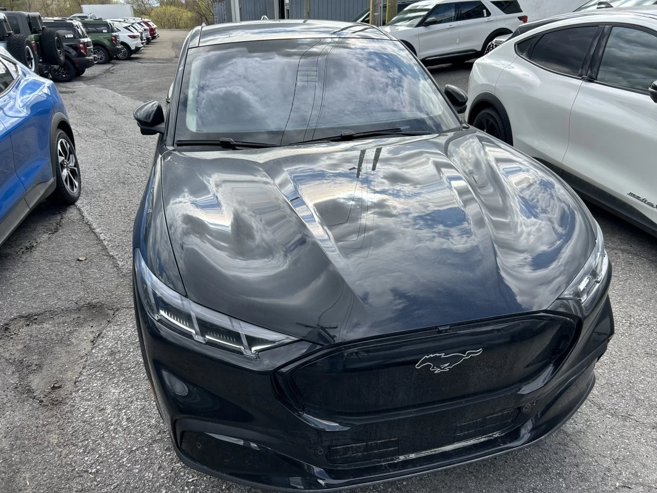 2025 Ford Mustang Mach-E PREMIUM AWD https://www.st-norbertford.com/resize/b990ff35b810a3abc0cc817b2ca24889-1