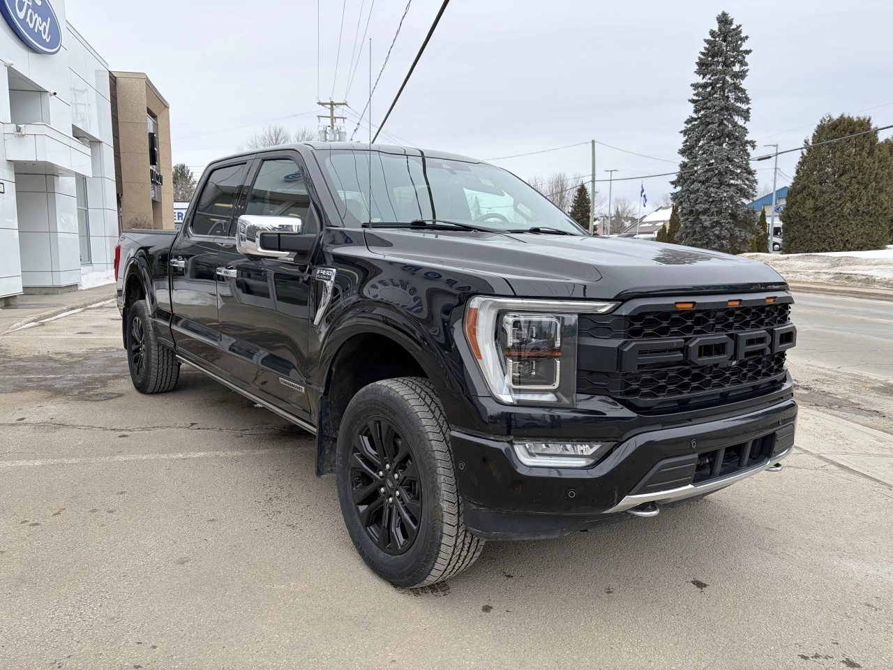 2021 Ford F-150 PLATINUM 701A 4X4 POWERBOOST HYBRIDE CREW ENSEMBLE REMORQUAGE https://www.st-norbertford.com/resize/b990ff35b810a3abc0cc817b2ca24889-1