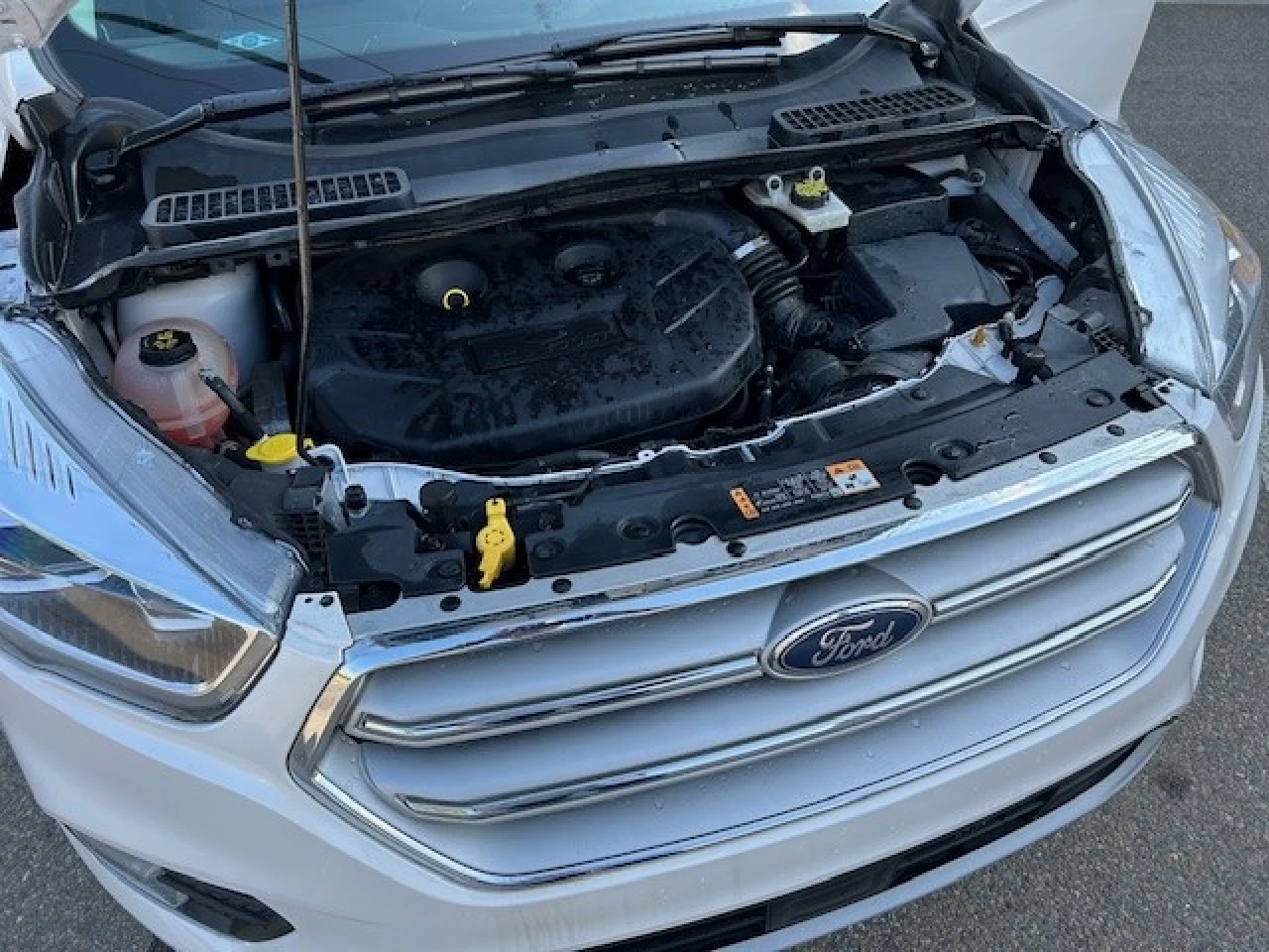2018 Ford Escape Titanium AWD Main Image