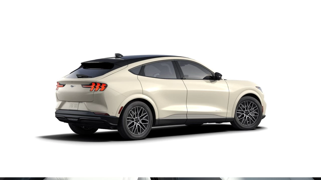 2025 Ford Mustang Mach-E PREMIUM AWD https://www.st-norbertford.com/resize/b990ff35b810a3abc0cc817b2ca24889-1