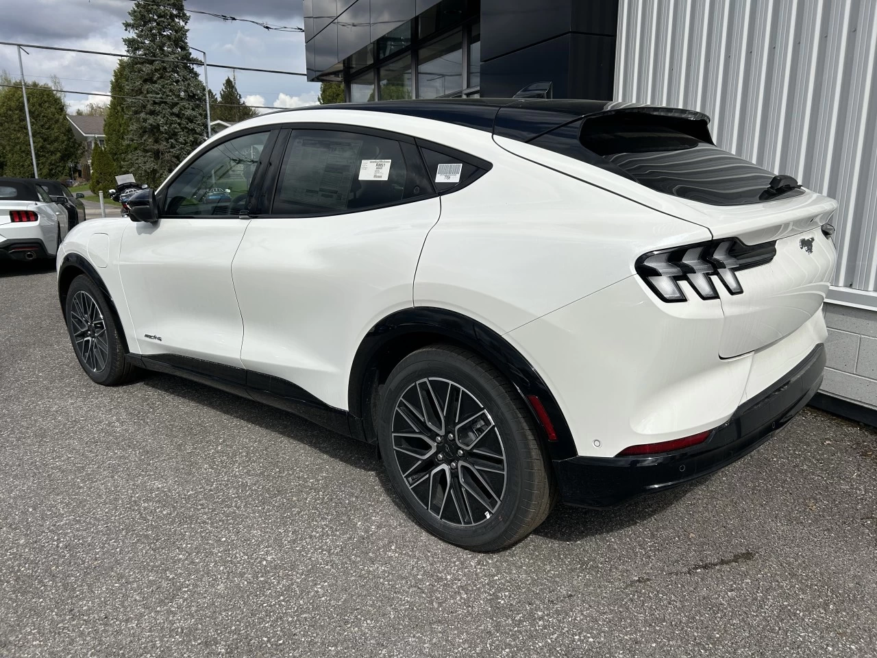 2025 Ford Mustang Mach-E PREMIUM AWD https://www.st-norbertford.com/resize/b990ff35b810a3abc0cc817b2ca24889-1