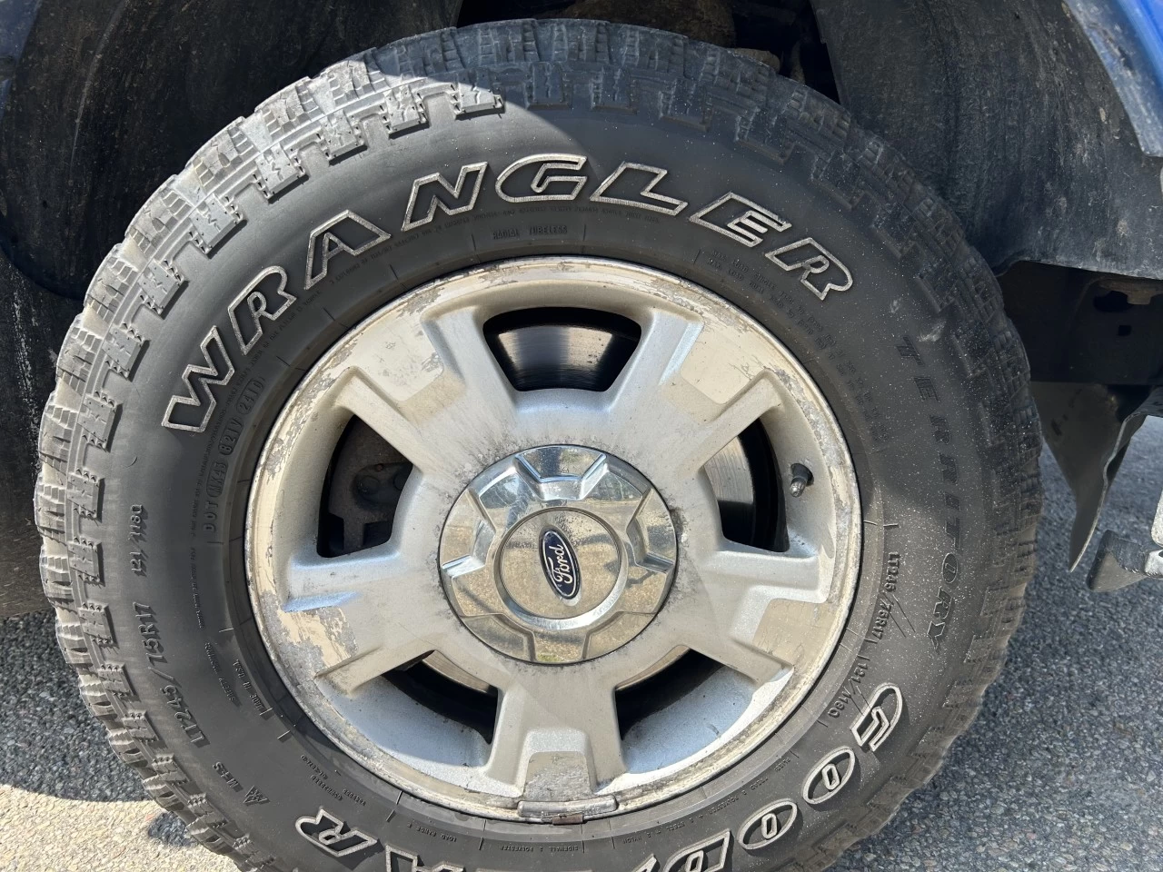 2011 Ford F-150 XLT Main Image