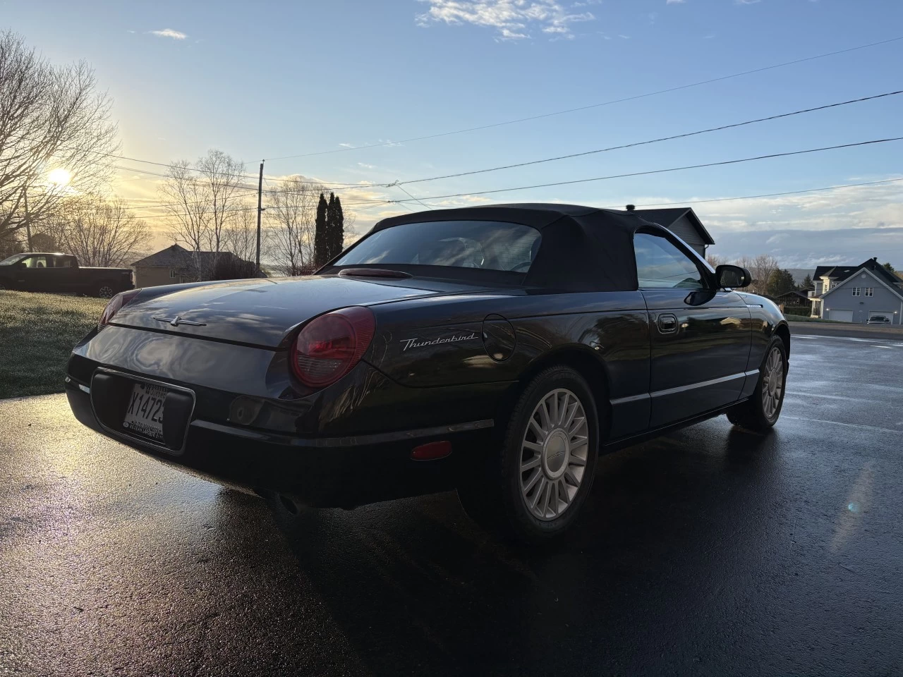 2005 Ford Thunderbird Cuir Main Image