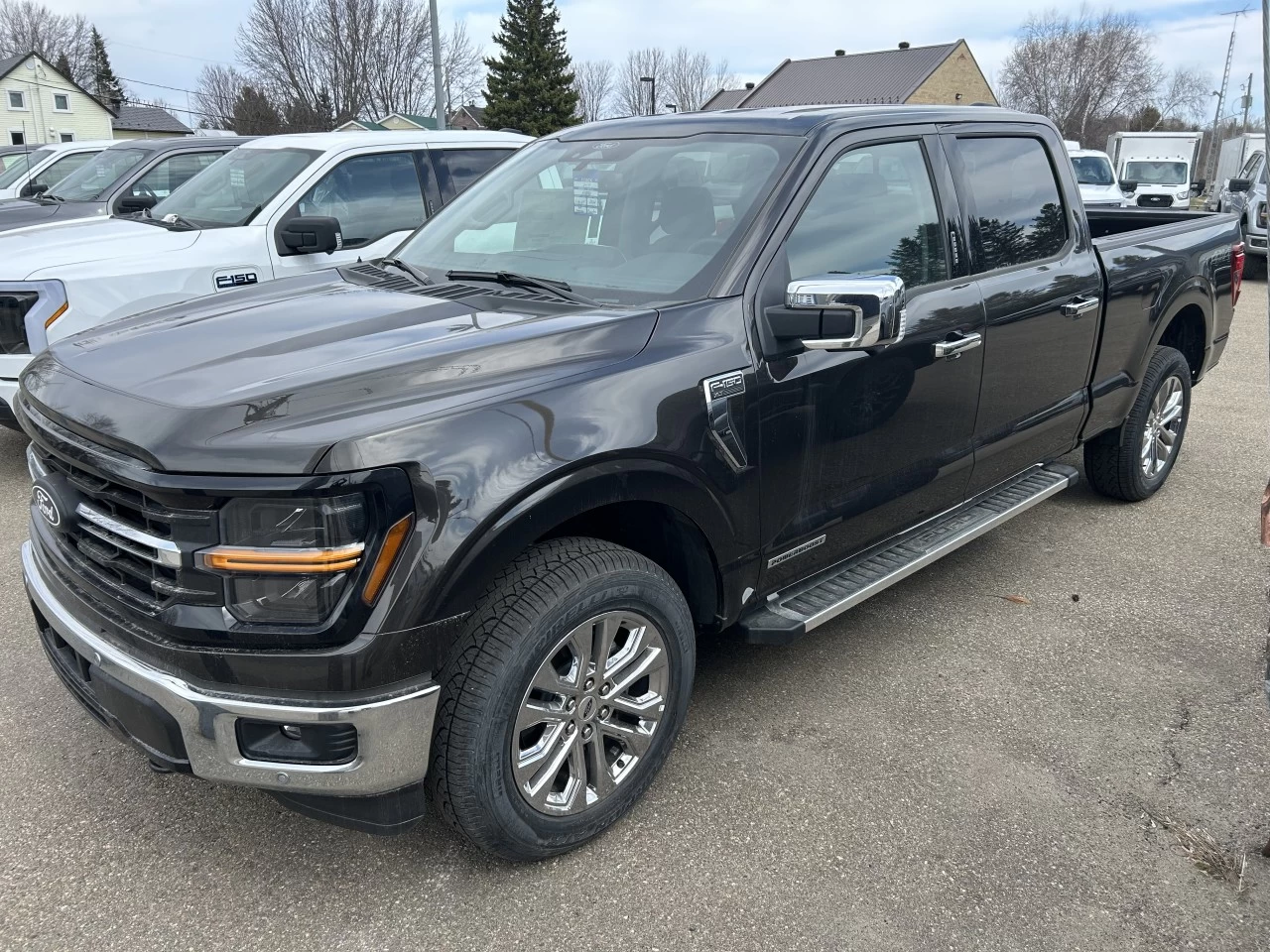2024 Ford F-150 XLT Main Image