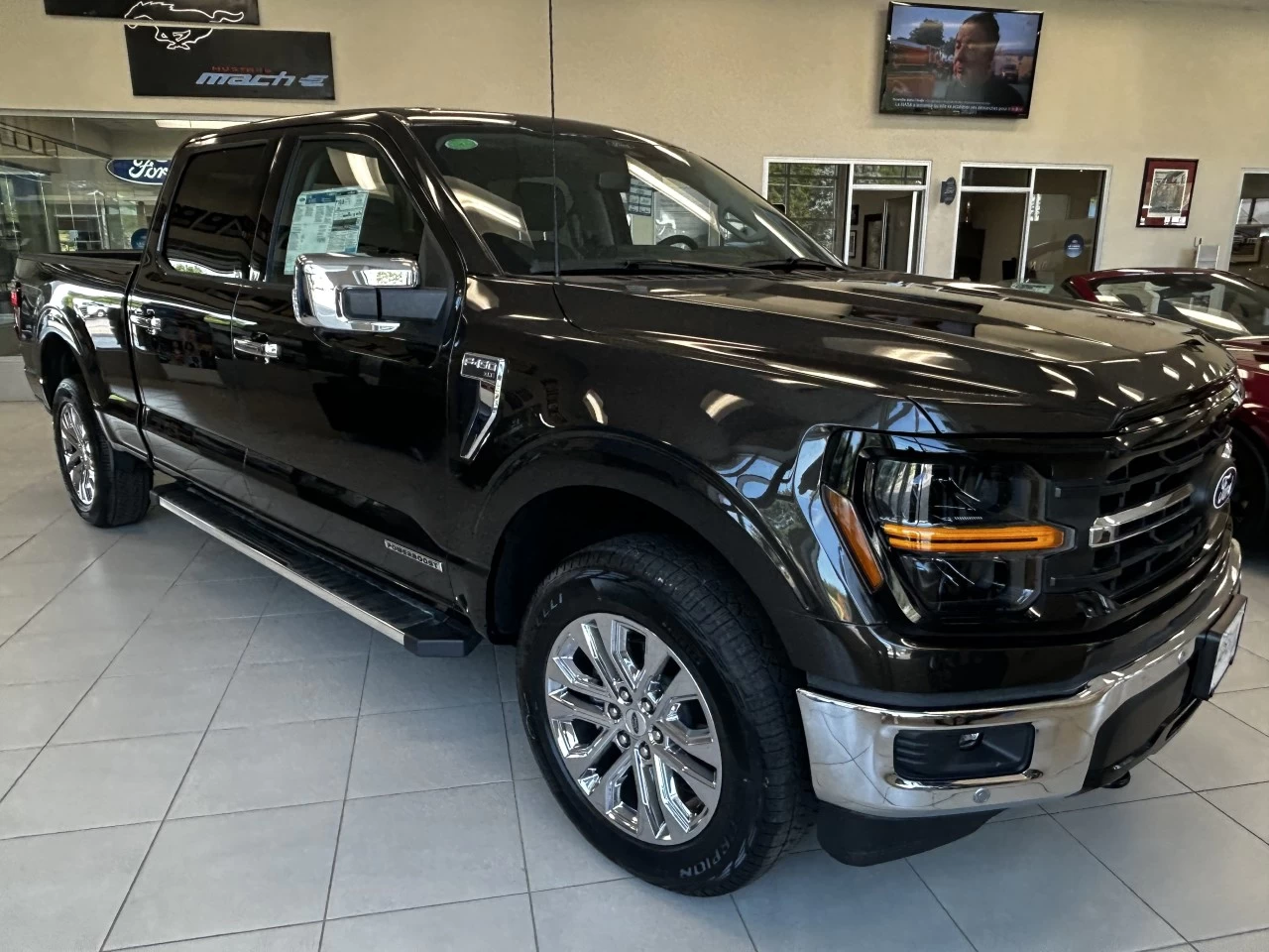 2024 Ford F-150 XLT Main Image