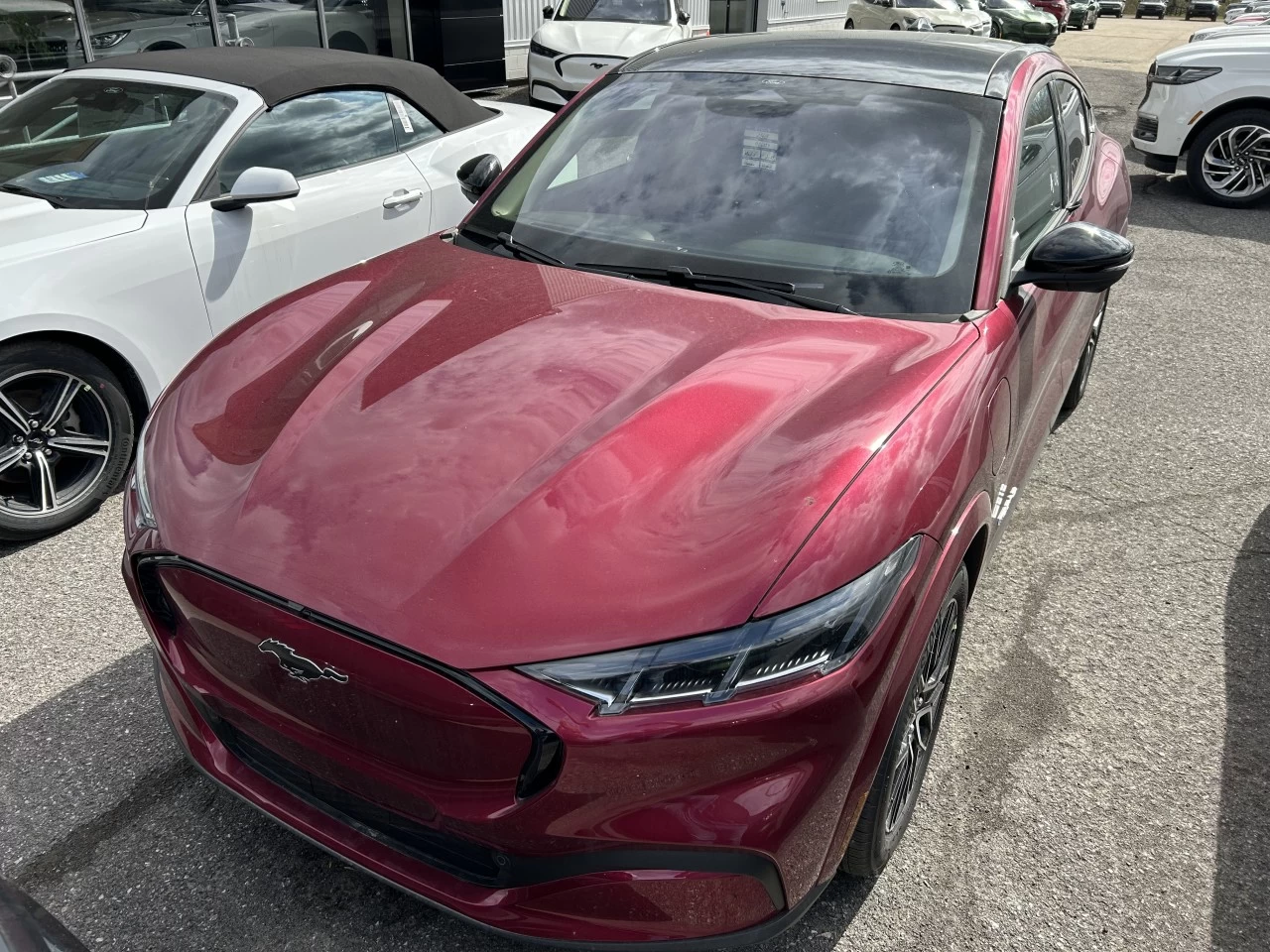 2025 Ford Mustang Mach-E PREMIUM AWD https://www.st-norbertford.com/resize/b990ff35b810a3abc0cc817b2ca24889-1