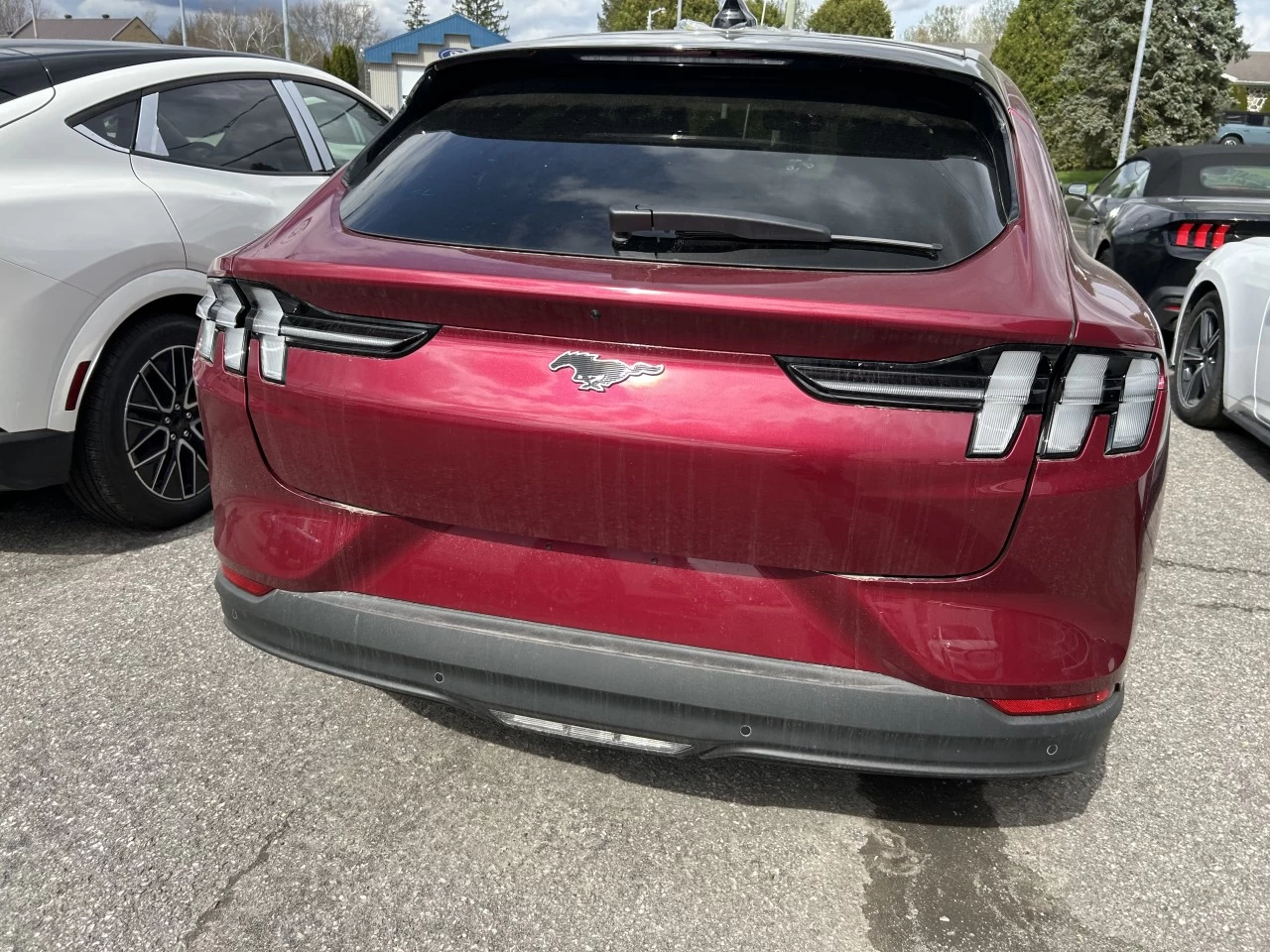 2025 Ford Mustang Mach-E PREMIUM AWD https://www.st-norbertford.com/resize/b990ff35b810a3abc0cc817b2ca24889-1