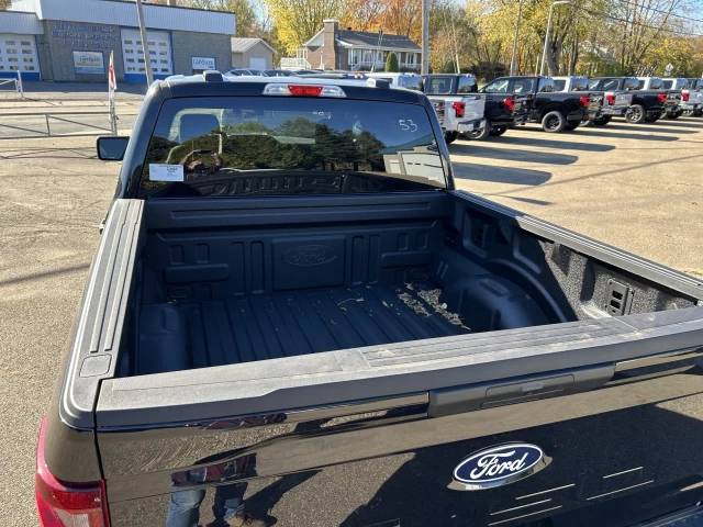 Ford F-150 STX 2025