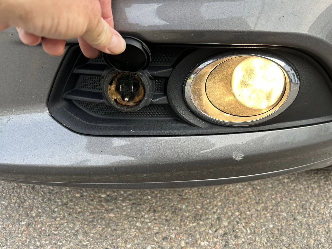 2013 Ford Fusion SE Image principale