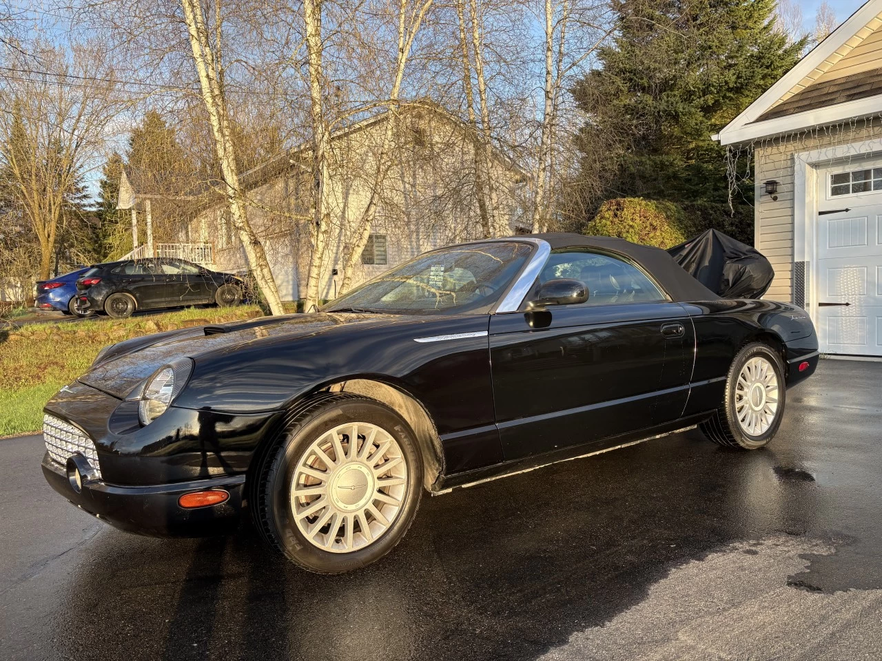 2005 Ford Thunderbird Cuir Main Image