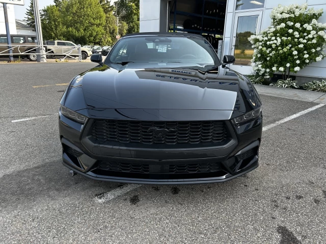 Ford Mustang EcoBoost 2025