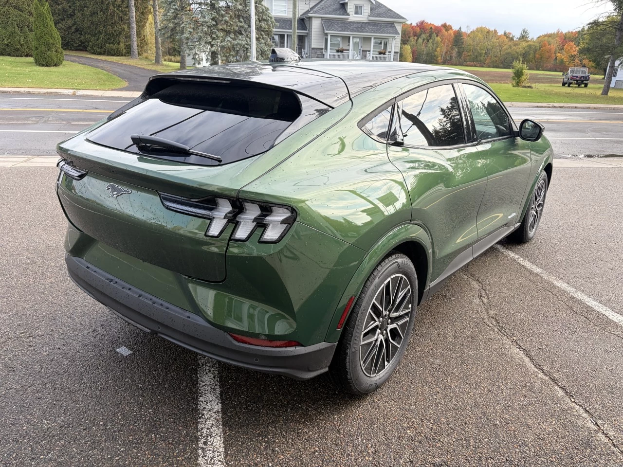 2026 Ford Mustang Mach-E PREMIUM 88KWH 300A https://www.st-norbertford.com/resize/b990ff35b810a3abc0cc817b2ca24889-1