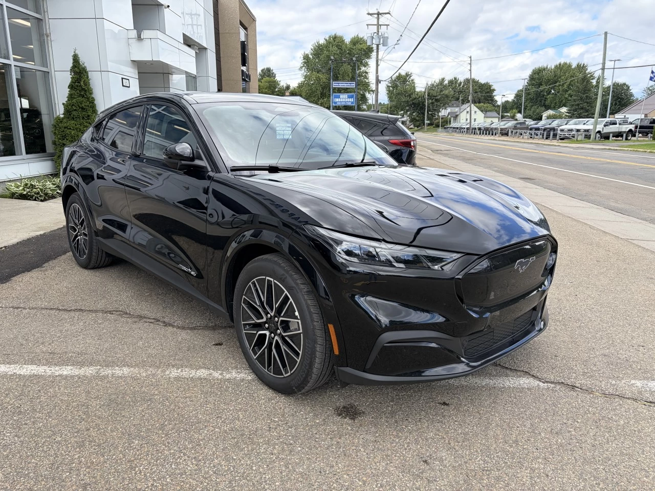 2026 Ford Mustang Mach-E PREMIUM https://www.st-norbertford.com/resize/b990ff35b810a3abc0cc817b2ca24889-1