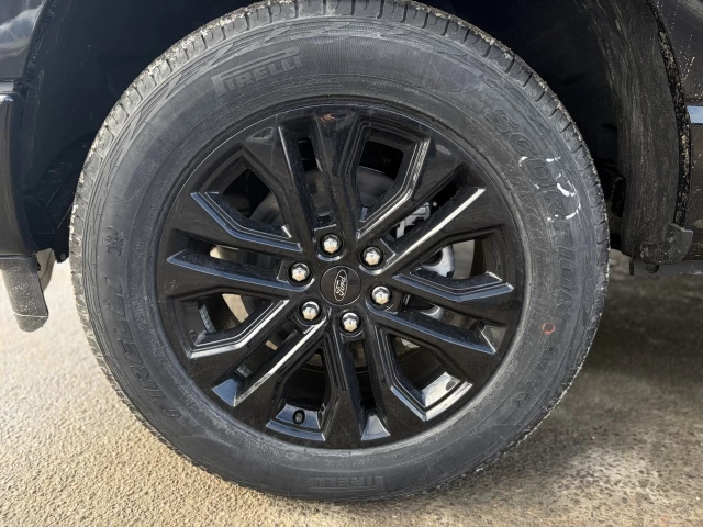 Ford F-150 XLT 302A HYBRIDE POWERBOOST 2026