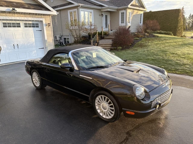 Ford Thunderbird Cuir 2005