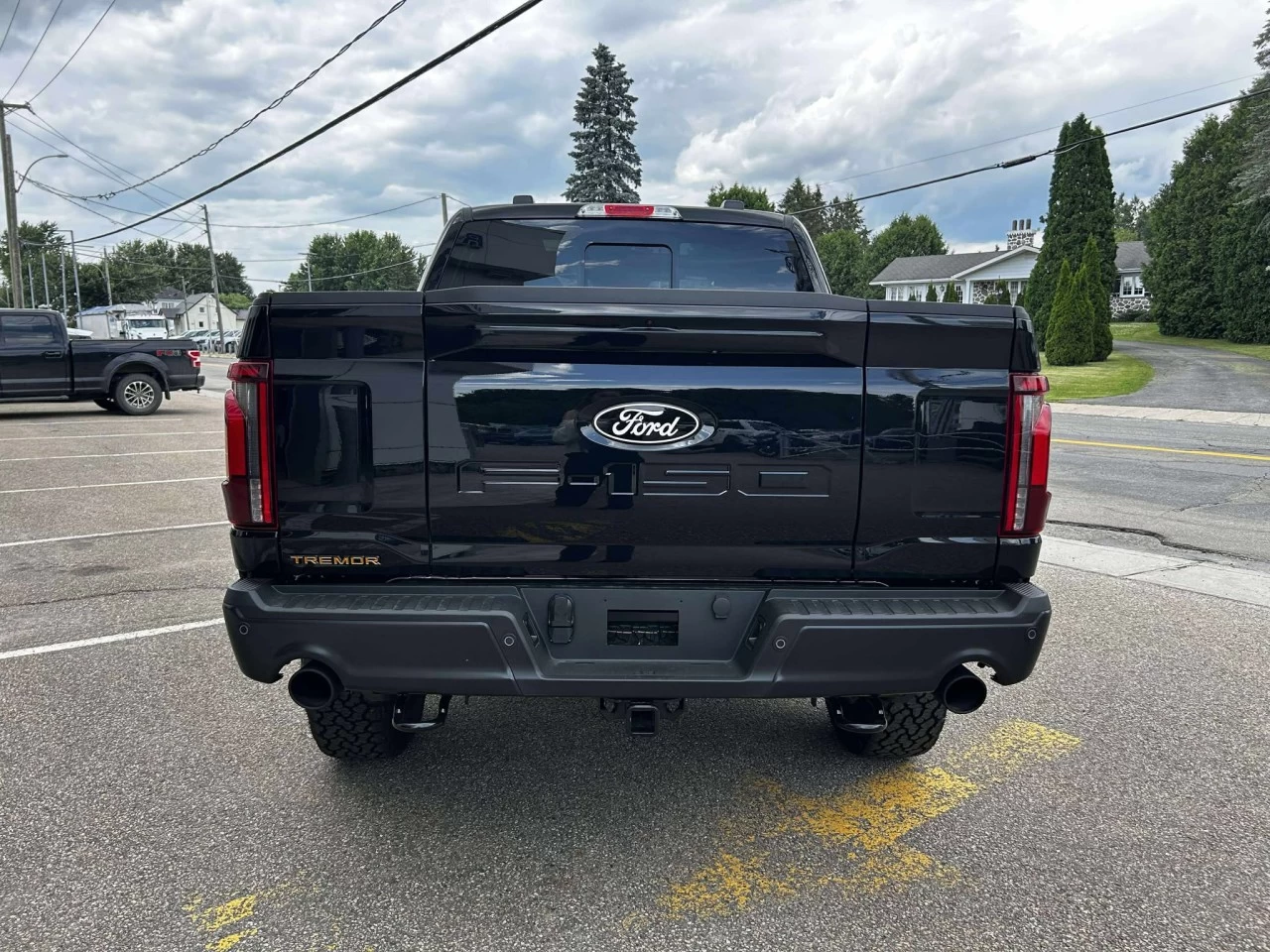 2025 Ford F-150 Tremor Image principale