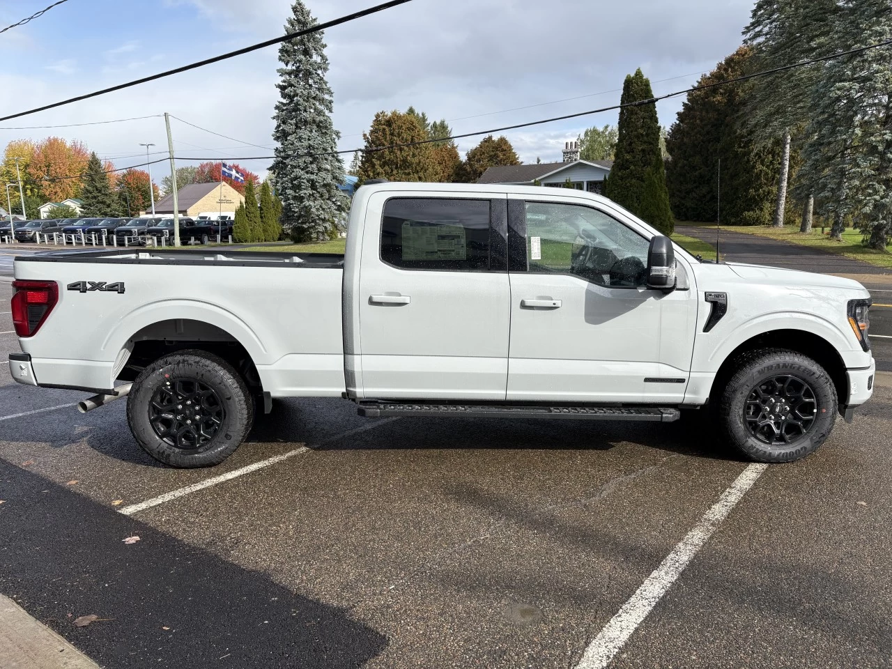 2026 Ford F-150 XLT Main Image