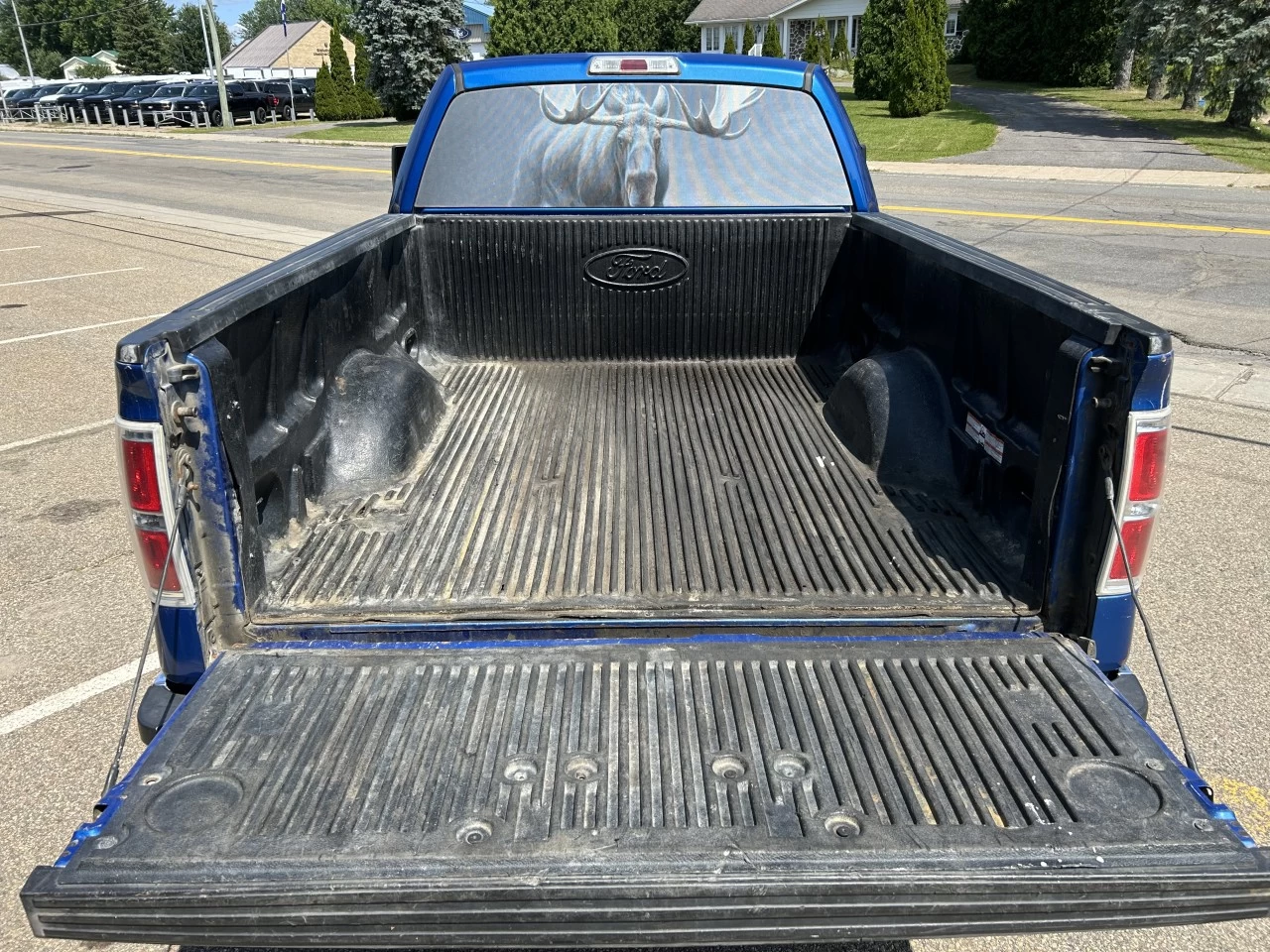 2011 Ford F-150 XLT Main Image