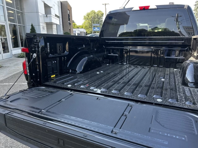 Ford F-150 Lightning FLASH 2025