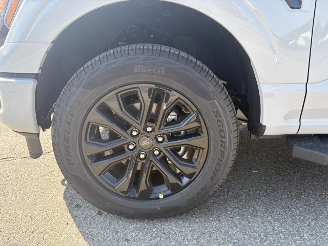 Ford F-150 XLT 2026
