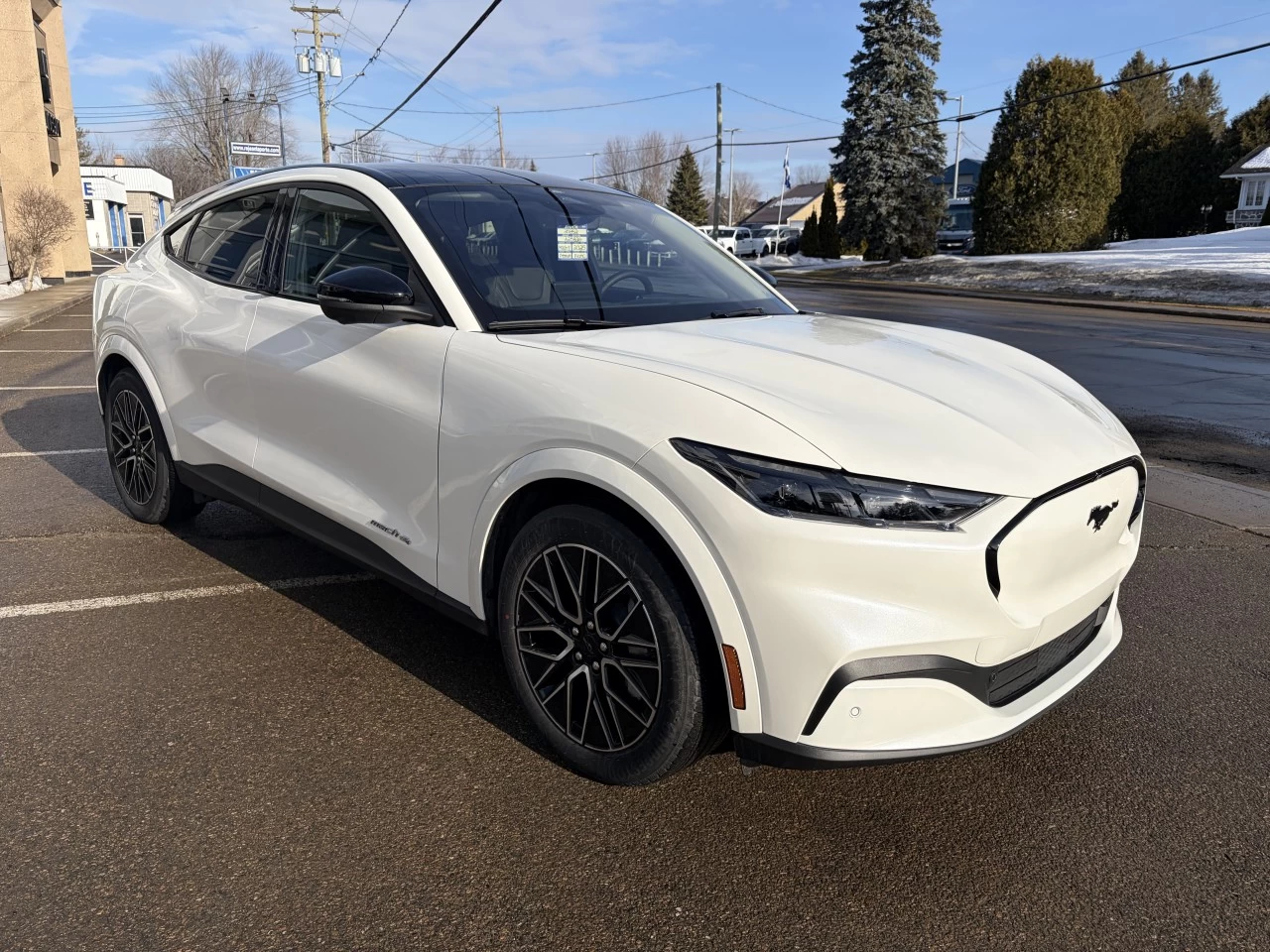 2025 Ford Mustang Mach-E PREMIUM https://www.st-norbertford.com/resize/b990ff35b810a3abc0cc817b2ca24889-1