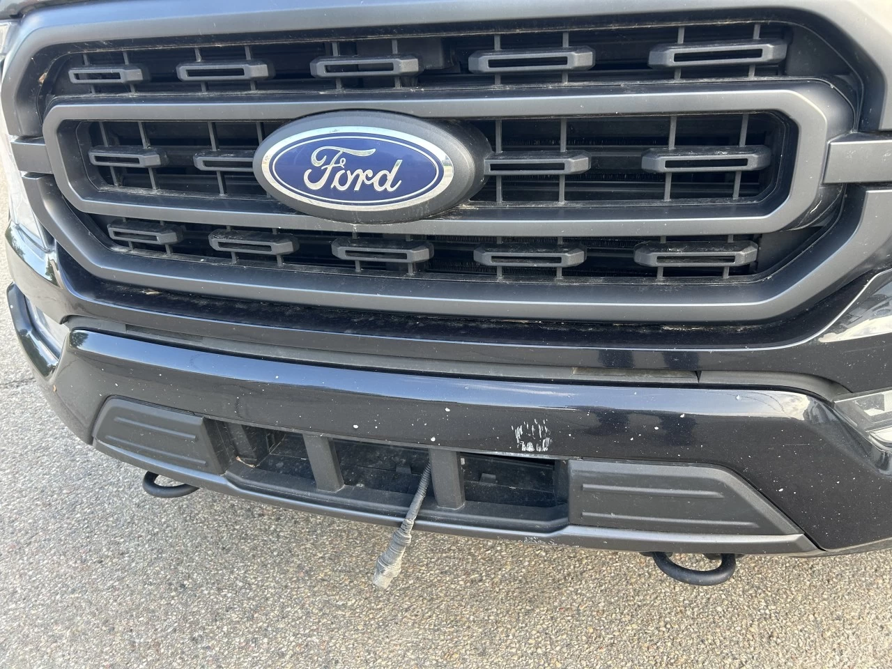2021 Ford F-150 XLT Image principale