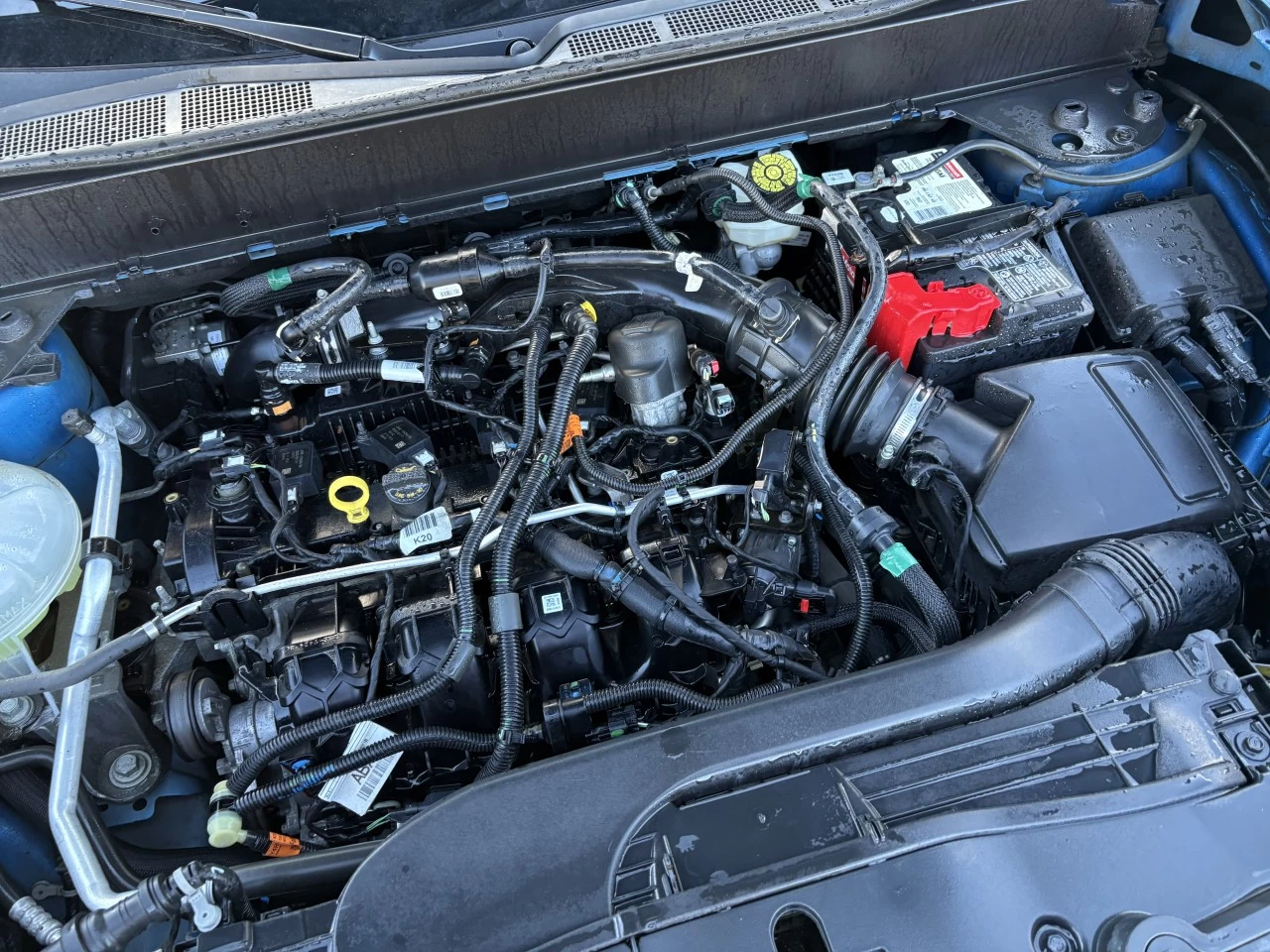 2022 Ford Maverick XLT Image principale