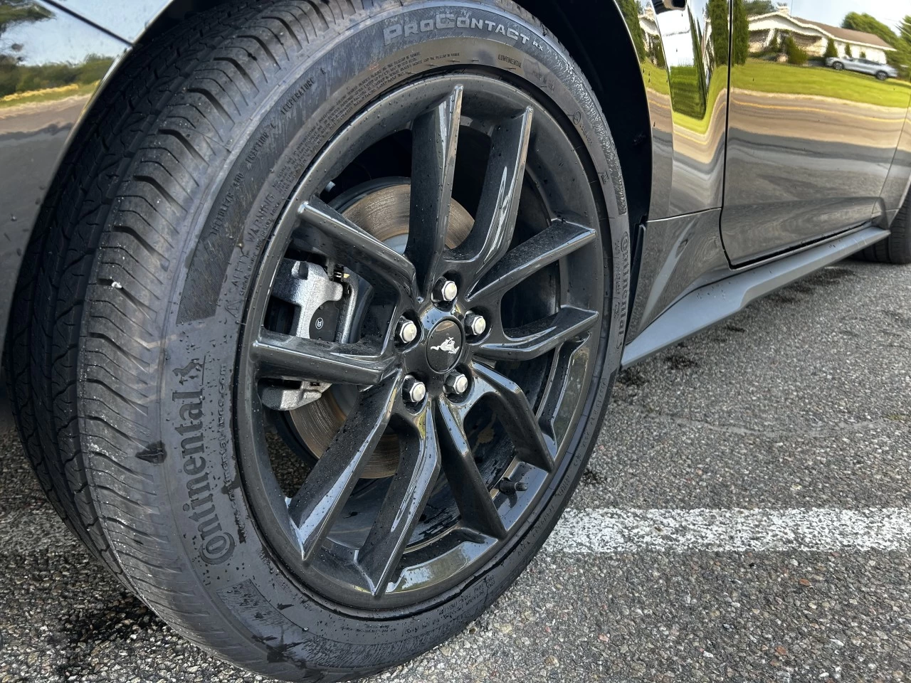 2025 Ford Mustang EcoBoost Main Image