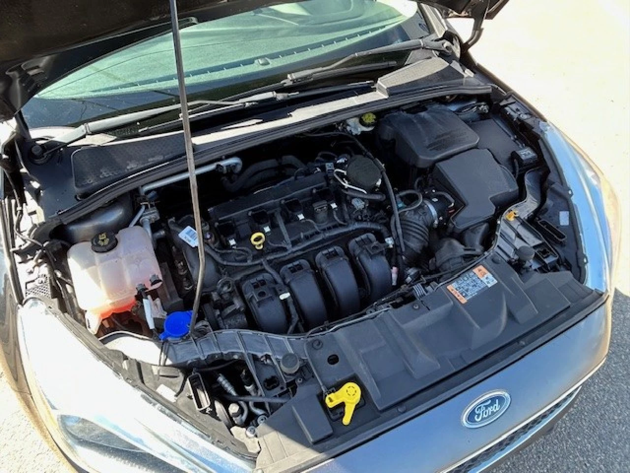 2015 Ford Focus SE Image principale