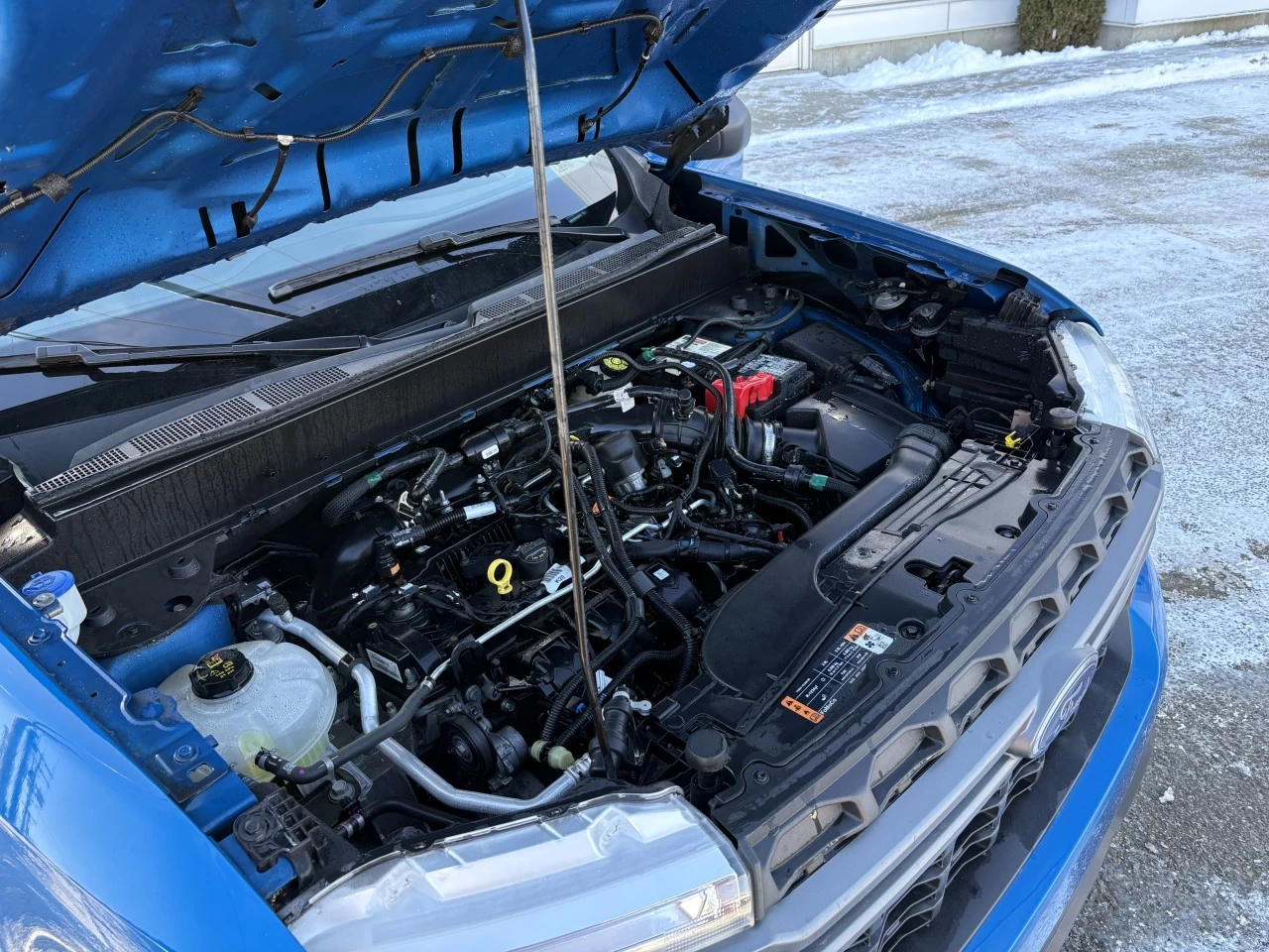 2022 Ford Maverick XLT Image principale