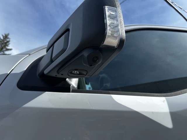 Ford F-150 Lightning FLASH 2025