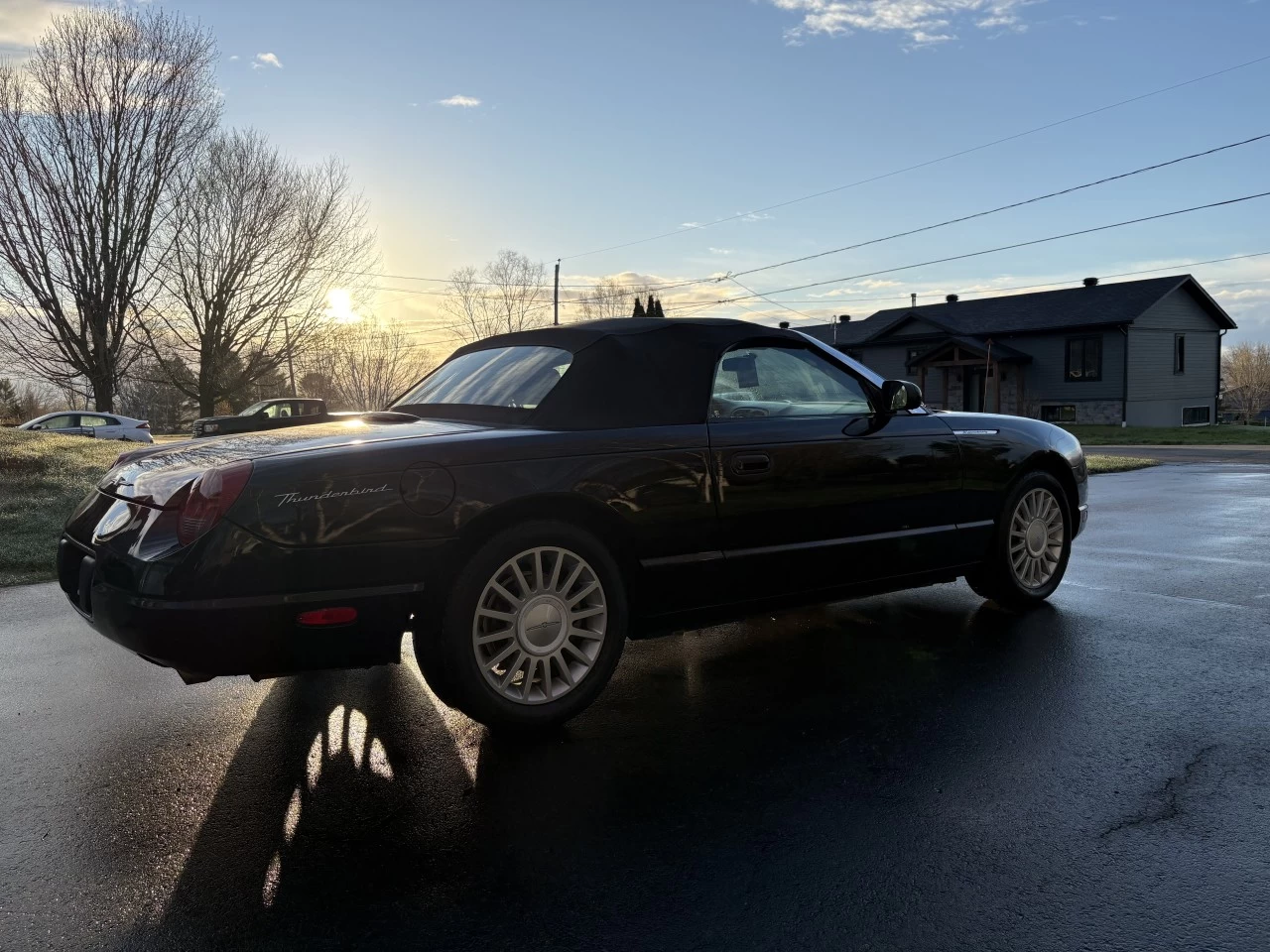 2005 Ford Thunderbird Cuir Main Image