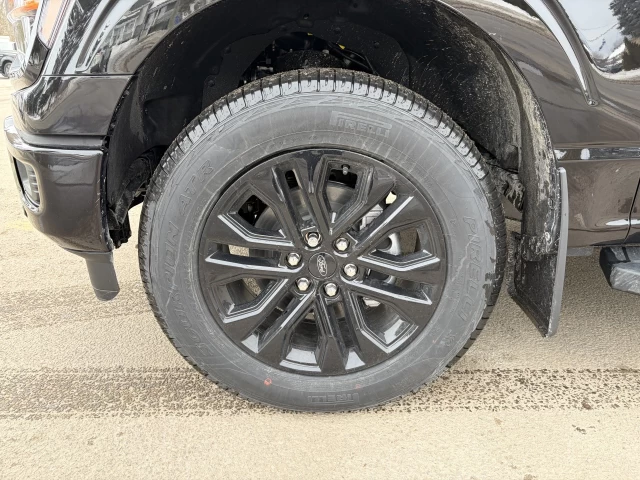 Ford F-150 XLT 302A 2026