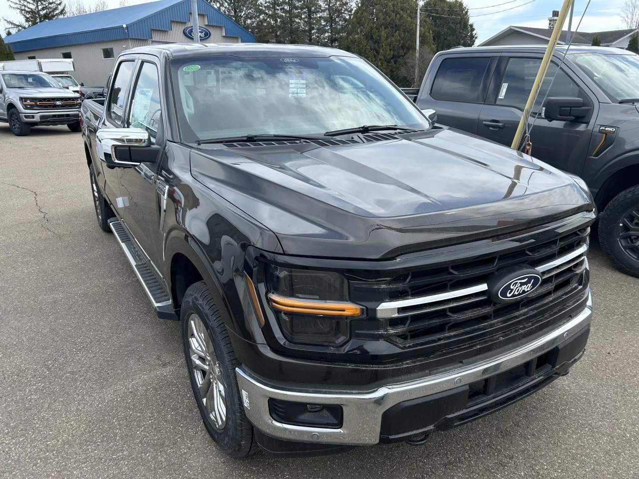 2024 Ford F-150 XLT Main Image