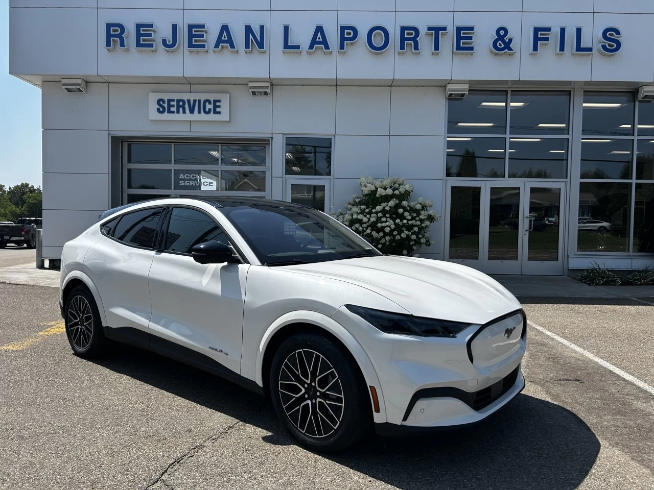 2025 Ford Mustang Mach-E PREMIUM https://www.st-norbertford.com/resize/b990ff35b810a3abc0cc817b2ca24889-1