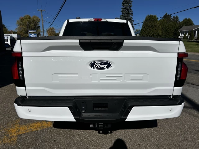 Ford F-150 Lightning FLASH 2025