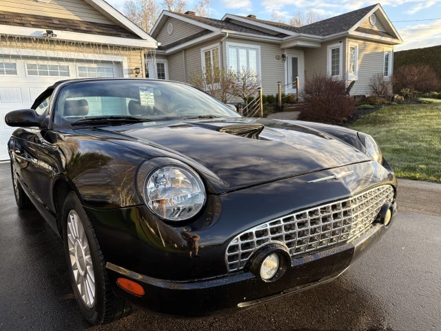 Ford Thunderbird Cuir 2005