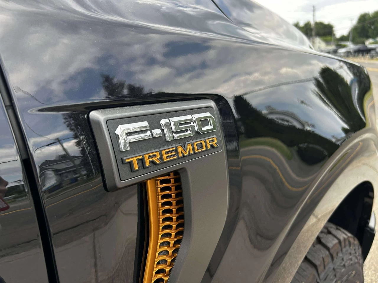 2025 Ford F-150 Tremor Image principale