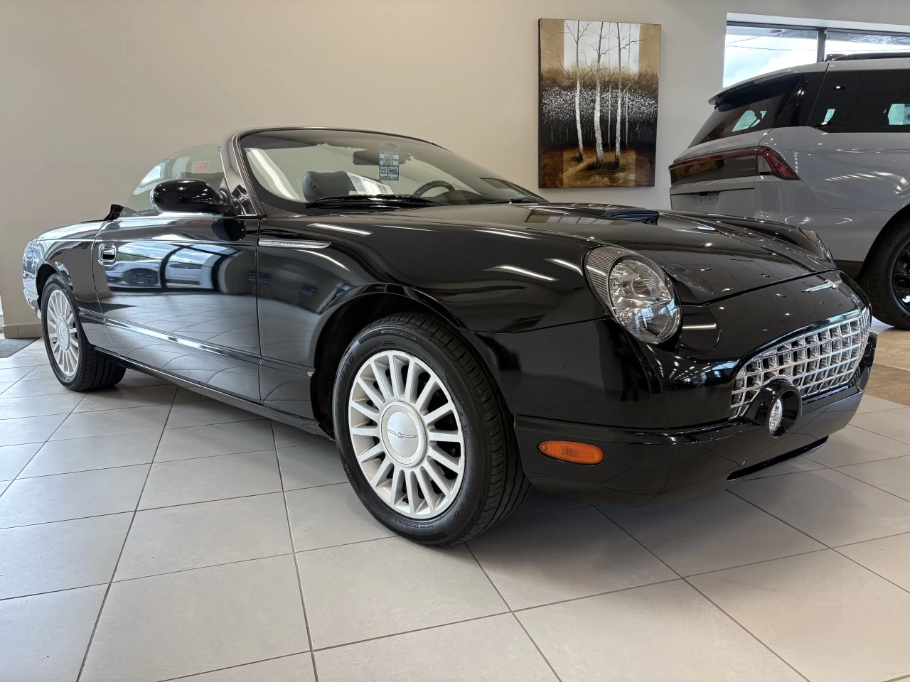 2005 Ford Thunderbird Cuir Main Image